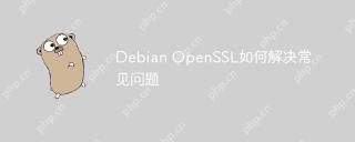 Debian OpenSSL如何解决常见问题