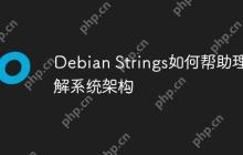 Debian Strings如何帮助理解系统架构