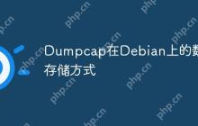 Dumpcap在Debian上的数据存储方式