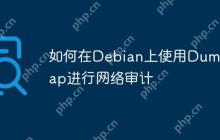 如何在Debian上使用Dumpcap进行网络审计