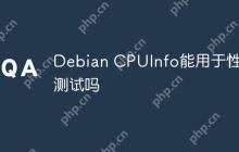 Debian CPUInfo能用于性能测试吗