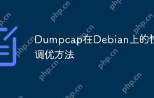 Dumpcap在Debian上的性能调优方法