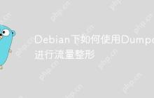Debian下如何使用Dumpcap进行流量整形