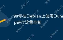 如何在Debian上使用Dumpcap进行流量控制