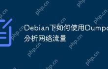Debian下如何使用Dumpcap分析网络流量