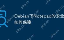 Debian下Notepad的安全性如何保障