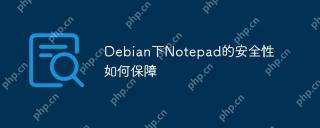Debian下Notepad的安全性如何保障