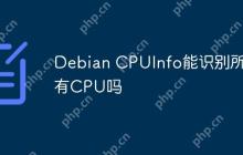 Debian CPUInfo能识别所有CPU吗