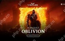 《上古卷轴4：湮没 复刻版》曝光！大量图片细节泄露