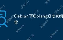 Debian下Golang日志如何清理