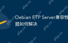 Debian FTP Server兼容性问题如何解决