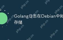 Golang日志在Debian中如何存储