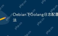 Debian下Golang日志配置方法