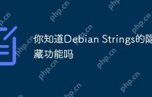 你知道Debian Strings的隐藏功能吗
