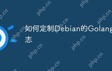 如何定制Debian的Golang日志