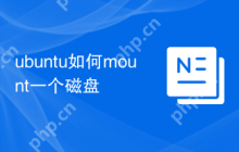 ubuntu如何mount一个磁盘