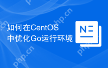 如何在CentOS中优化Go运行环境
