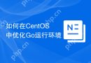 如何在CentOS中优化Go运行环境