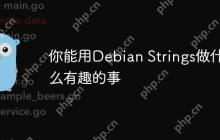 你能用Debian Strings做什么有趣的事