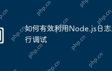 如何有效利用Node.js日志进行调试