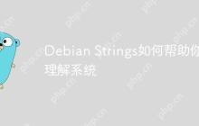 Debian Strings如何帮助你理解系统