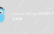Debian Strings如何提升开发效率