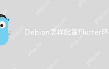 Debian怎样配置Flutter环境