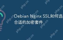 Debian Nginx SSL如何选择合适的加密套件