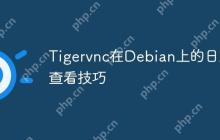 Tigervnc在Debian上的日志查看技巧