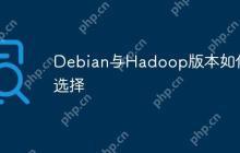 Debian与Hadoop版本如何选择