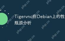 Tigervnc在Debian上的性能瓶颈分析
