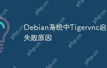 Debian系统中Tigervnc启动失败原因