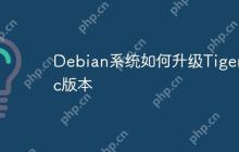 Debian系统如何升级Tigervnc版本