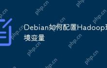 Debian如何配置Hadoop环境变量