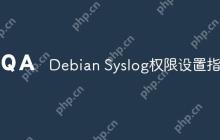 Debian Syslog权限设置指南