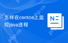 怎样在centos上监控java进程
