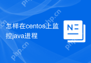 怎样在centos上监控java进程