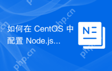 如何在 CentOS 中配置 Node.js 环境