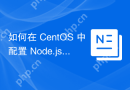如何在 CentOS 中配置 Node.js 环境