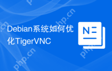 Debian系统如何优化TigerVNC