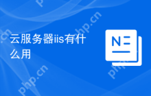 云服务器iis有什么用