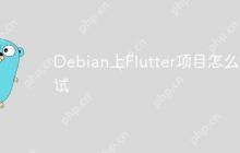Debian上Flutter项目怎么测试