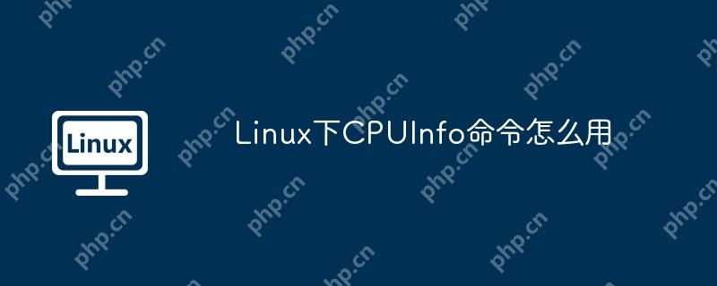Linux下CPUInfo命令怎么用 - 小浪云数据