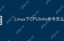 Linux下CPUInfo命令怎么用