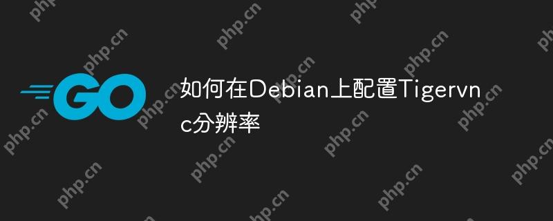 如何在Debian上配置Tigervnc分辨率
