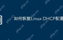 如何恢复Linux DHCP配置