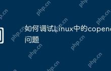 如何调试Linux中的copendir问题