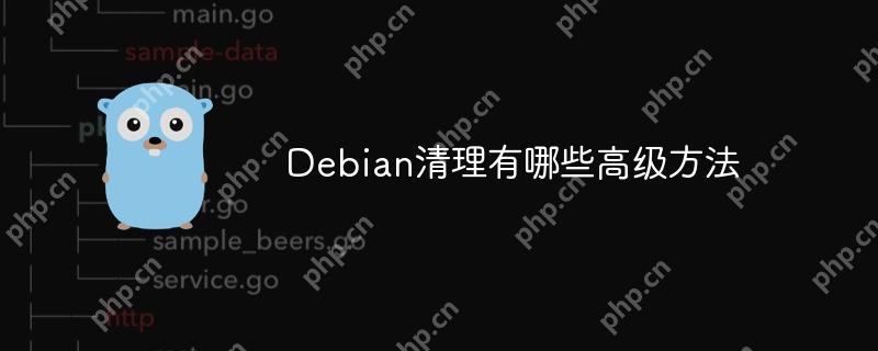 Debian清理有哪些高级方法