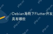 Debian系统下Flutter开发工具有哪些