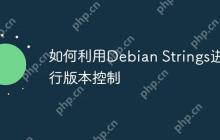如何利用Debian Strings进行版本控制